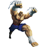 Warrior Fighter Character Tekken Fictional Ii Street
