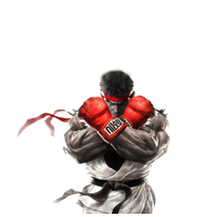 Warrior Fighter Behavior Boxing Glove Ii Street
