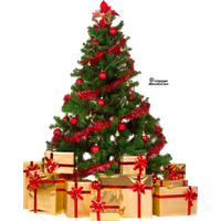 Fir Family Tree Ornament Pine Christmas