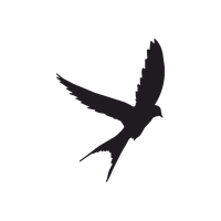 Tattoo Swallow Silhouette Bird Eagle Free Download PNG HD