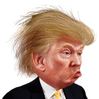 Funny Caricature Trump Color Face Hair Donald