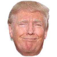 United Trump Cheek Face States Donald Party