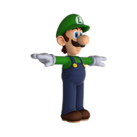 Smash Toy For 3Ds Brawl Luigi