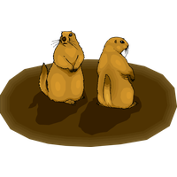 Groundhog Day California Sea Lion Seal Cartoon For Eve Party 2020