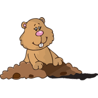 Groundhog Day Cartoon Brown Bear Grizzly For Greeting Cards