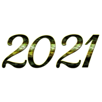2021 PNG Clipart New Year