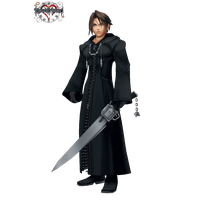 Kingdom Hearts Xiii Organization Free Download Image
