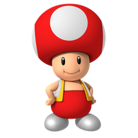 Toad Mario Super Bros Picture