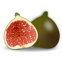 Fig PNG File HD
