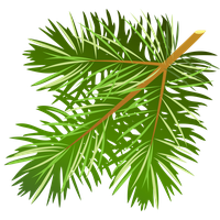 Branches Christmas Free Download PNG HD