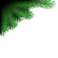 Branches Christmas PNG Free Photo