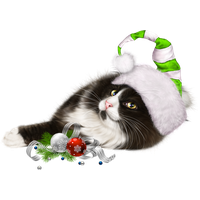 Christmas Kitten HQ Image Free