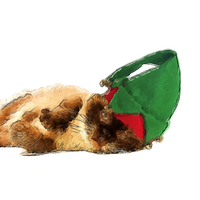 Christmas Kitten PNG Image High Quality