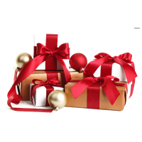 Gift Christmas Red PNG Free Photo