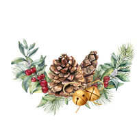 Christmas Pine Cone PNG Free Photo