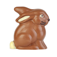 Easter Bunny Chocolate Free Download PNG HQ