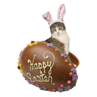 Easter Bunny Chocolate Free Clipart HD