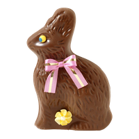 Picture Easter Bunny Chocolate Free Download PNG HQ