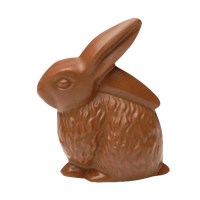 Easter Bunny Chocolate PNG Free Photo