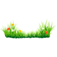 Egg Grass Easter Free Download PNG HD