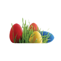 Egg Grass Easter Photos Free HQ Image