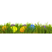 Egg Grass Easter Download Free Image