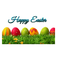 Egg Grass Easter Free Photo