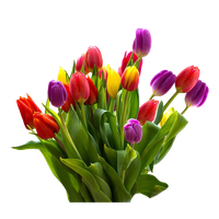 Flower Easter Free Clipart HD