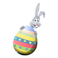 Photos Easter Rabbit HD Image Free