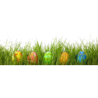 Egg Grass Easter PNG Free Photo