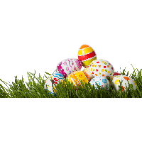 Egg Grass Easter Free Download Image