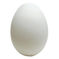 Egg White Easter Free PNG HQ