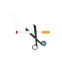 World Day Tobacco No PNG Image High Quality