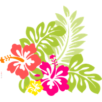 Flower Pic Aloha Hawaiian Luau