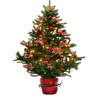 Fir Tree Christmas Free Transparent Image HQ