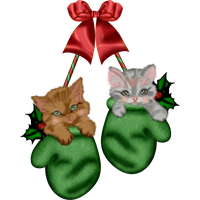 Vector Christmas Kitten Free Download PNG HD