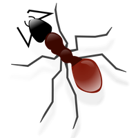 Ant Vector HQ Image Free
