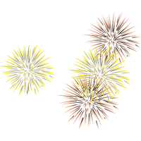Golden Fireworks Vector Colorful Free Download PNG HD