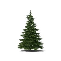 Small Fir-Tree Christmas Free Clipart HD