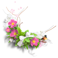 Floral Spring Decoration Free HD Image