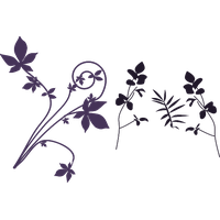 Swirl Flower Silhouette PNG Image High Quality