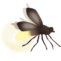 Firefly Bug Lightning Free Download PNG HD