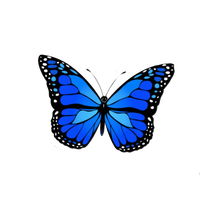 Blue Butterfly Free Transparent Image HQ