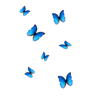 Blue Butterfly PNG Download Free