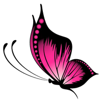 Pink Butterfly HQ Image Free
