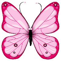 Pink Butterfly Free Download Image