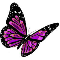 Pink Butterfly Download HD