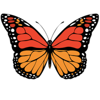 Butterfly Vector Free Download PNG HQ