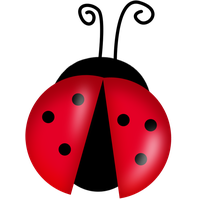 Ladybug Insect Cute Free Transparent Image HQ