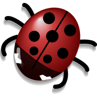 Ladybug Insect Photos Cute Free Download PNG HD